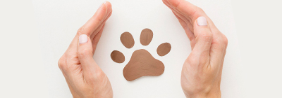 Animali - Scudo Consulenze