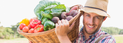 Imprese Agricole - Scudo Consulenze