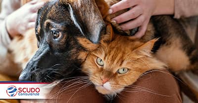 Assicurazione UnipolSai Cane&Gatto